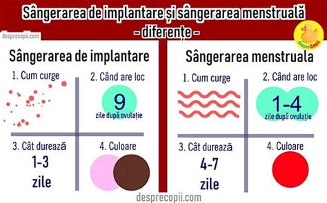 sangerarea de implantare si testul de sarcina|Sângerări de Implantare și în Timpul Sarcinii: Cauze, Simptome,。